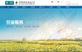 中国乡镇企业总网站
