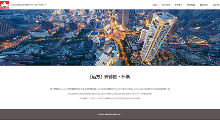江苏迈普-经典企业网站